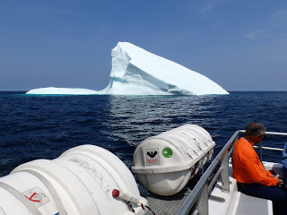 Iceberg alley St John's blog